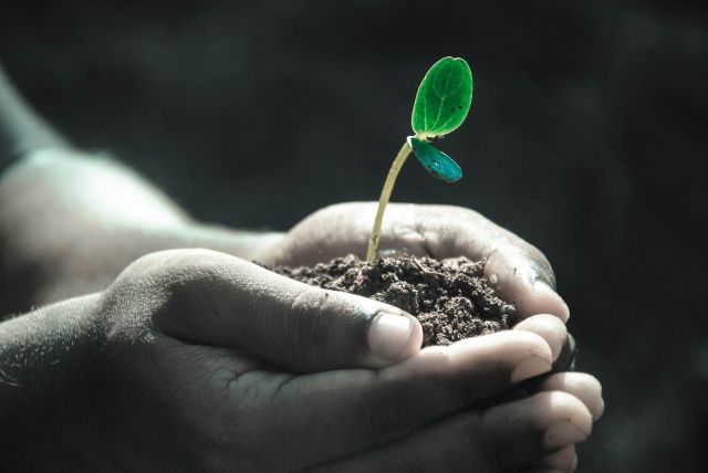 How the 12 Steps of Grow.ie Can Enhance Your Psychotherapy Experience
