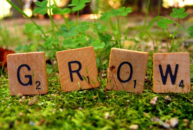 How to Recover and Grow with the Twelve Steps of Grow